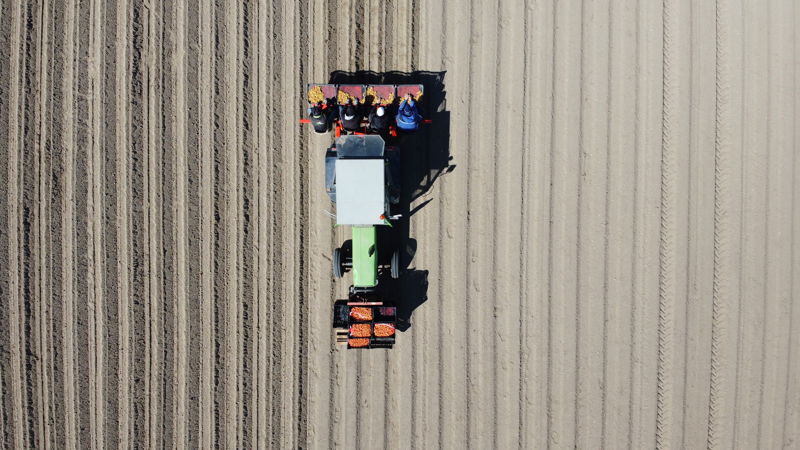 DJI 0175 A
