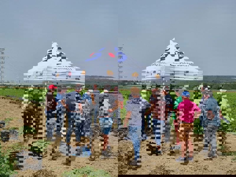 Visite plateforme Desmazières