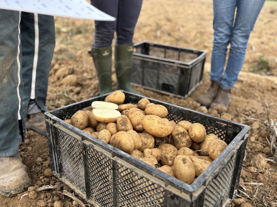 Arrachage Essais Indus25 130