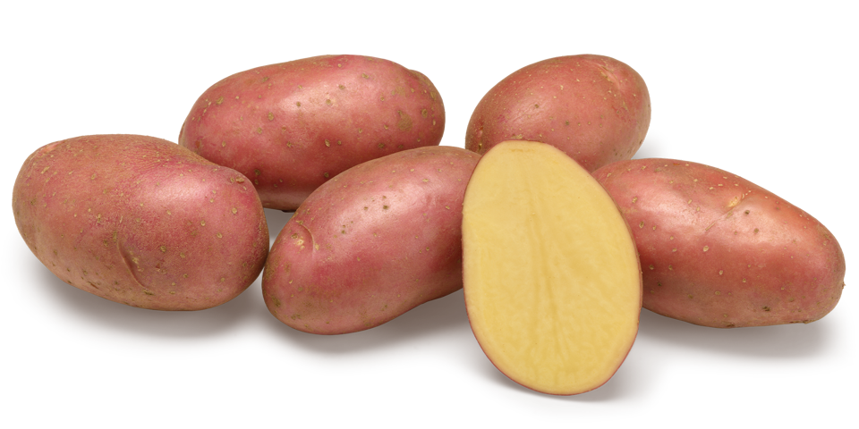 variété napoléon