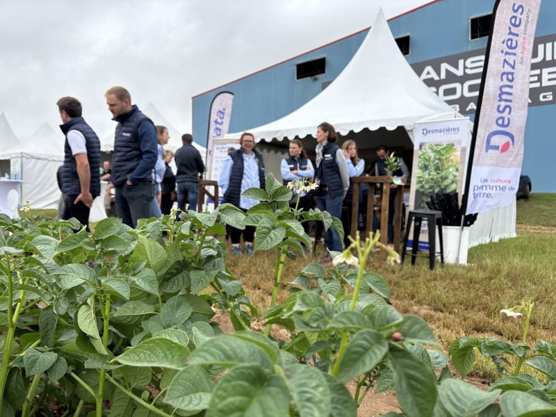 Gagnant du championnat du monde de la frite Aurèle MESTRÉ - Desmazières