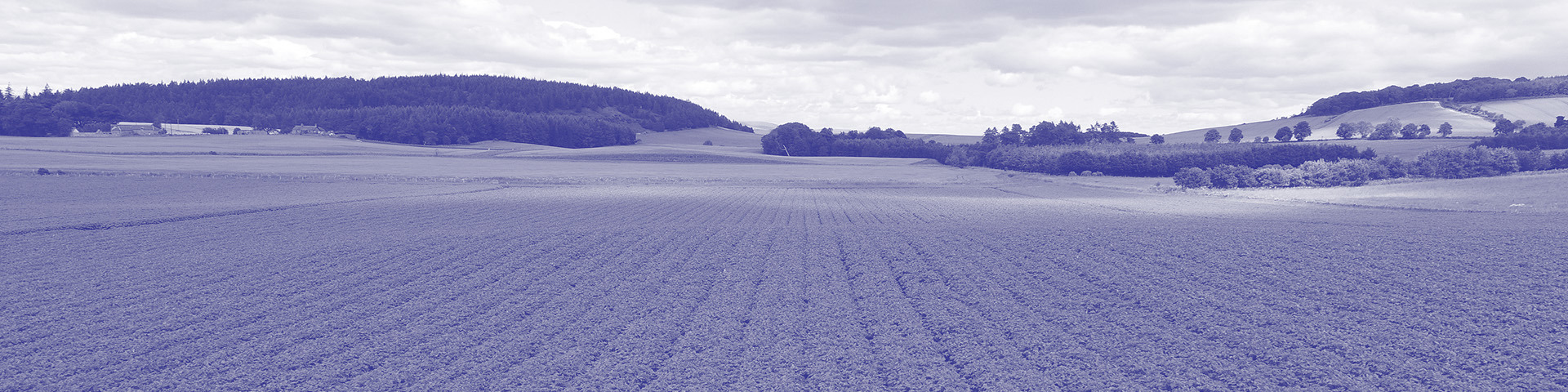 Header Bichromie RSE