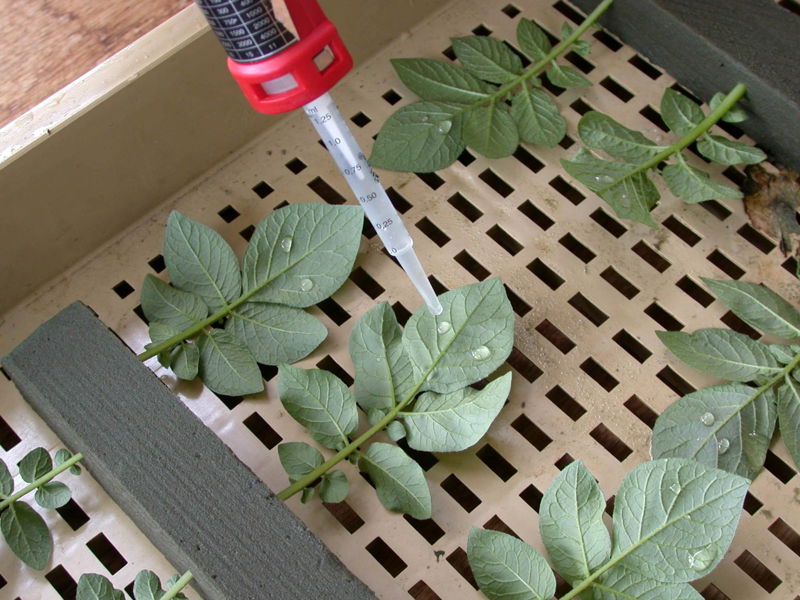 Inoculatie