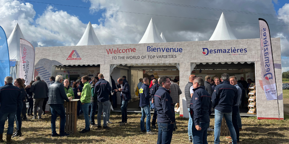 Potato Europe Newsletter