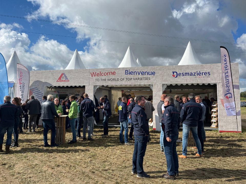 Potato europe Desmazières