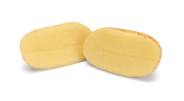 Levante SNG CL®Agrico20