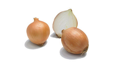Bulbille Centurion