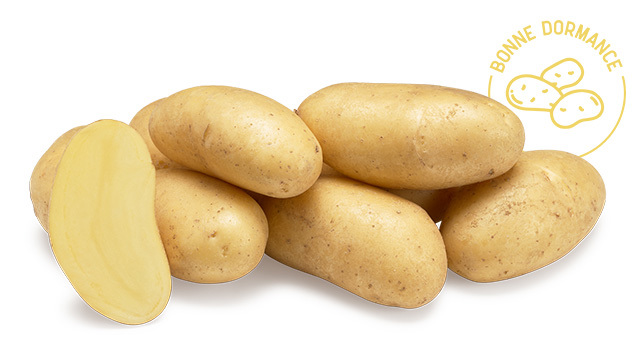Variete DESMAZIERES Gourmandine