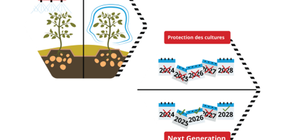 Why Resistant Genes Hold Stronger FR
