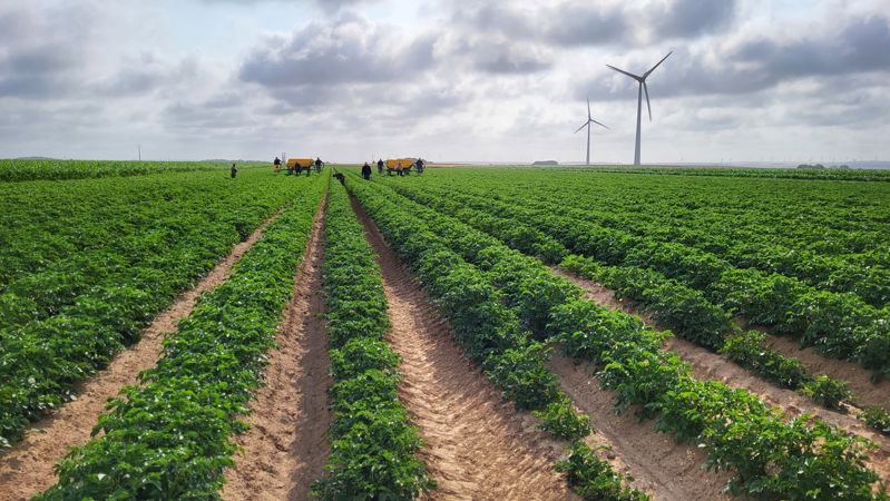 Agroécolonomie desmazières