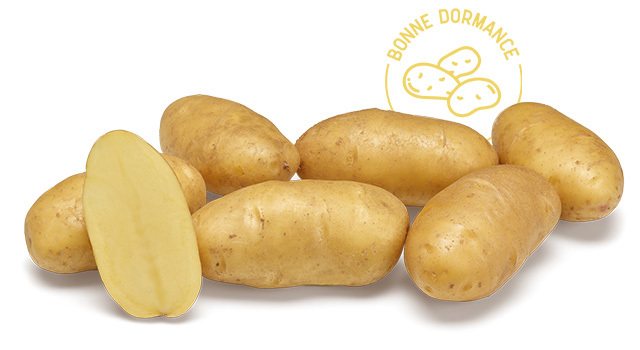 Variete DESMAZIERES Ditta
