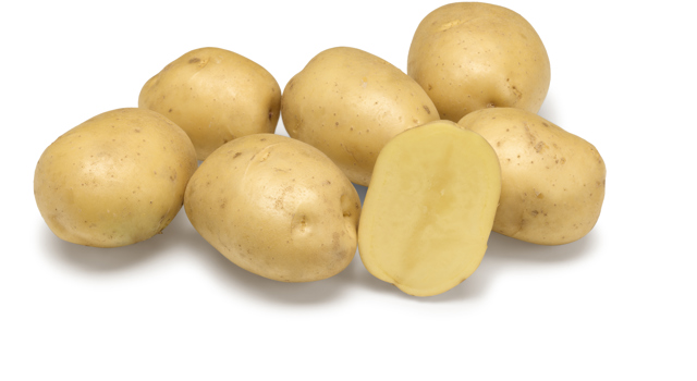 Auriera GRB CL®Agrico21