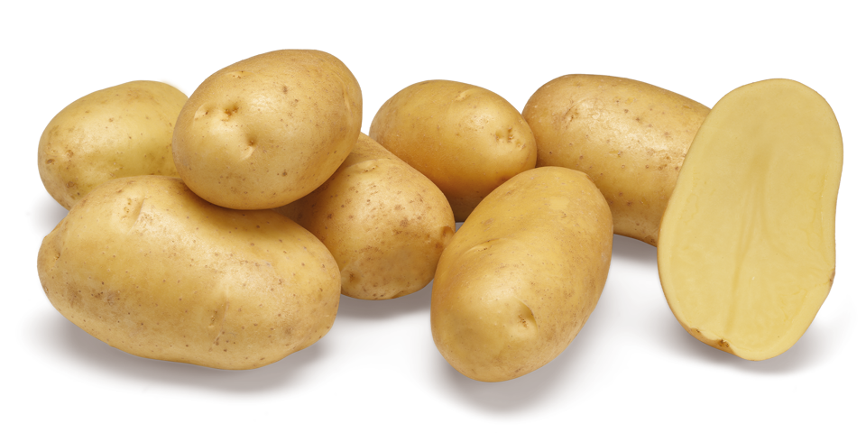 Variété Armedi