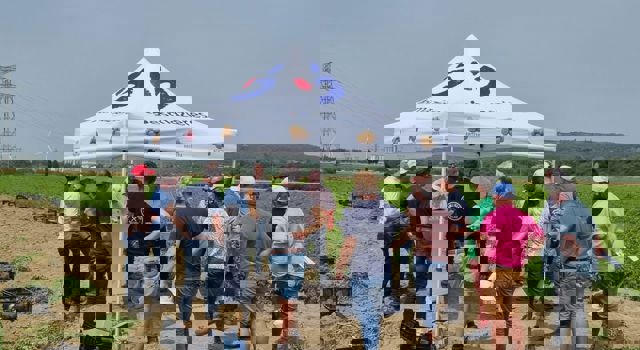 Visite plateforme Desmazières