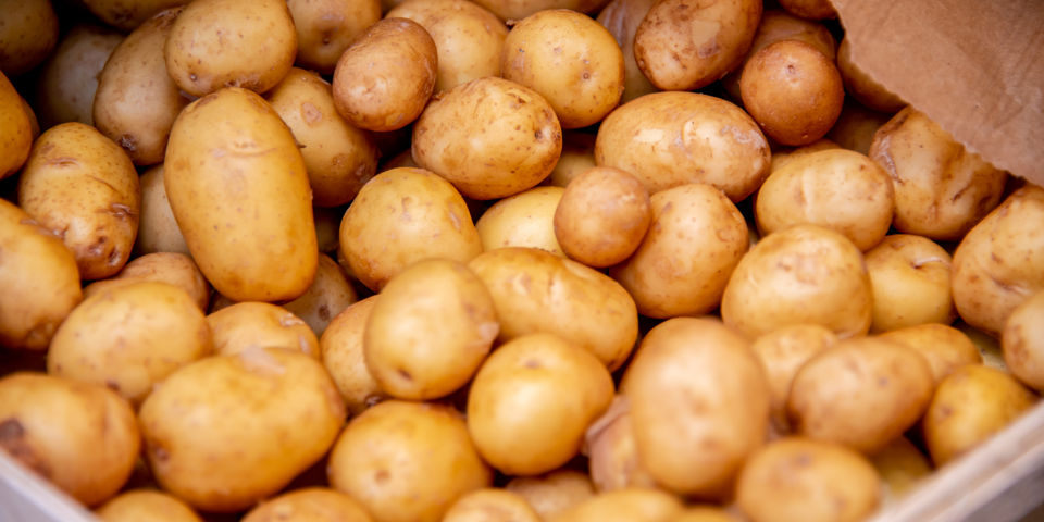 Adobestock 270196021