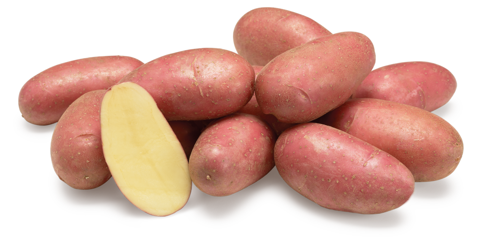 variété évolution