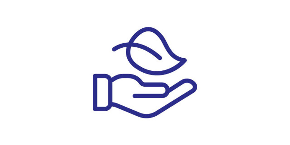 humanité chez Desmazières