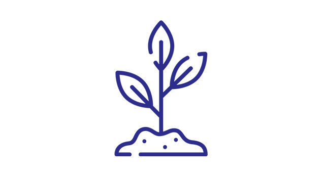 Plante