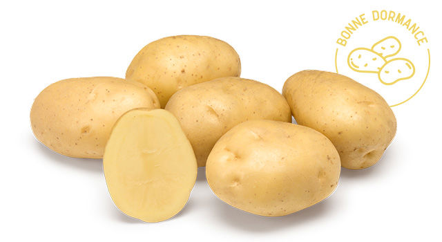 Amaez - Desmazières