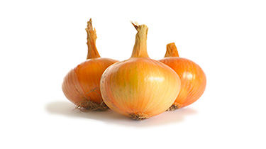 Bulbille Sturon