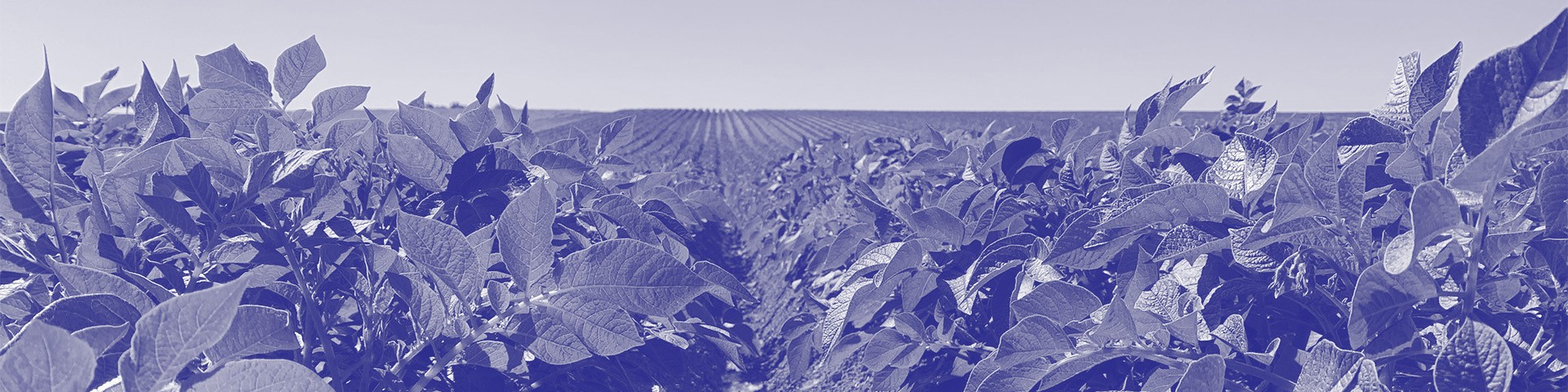 Header Mission
