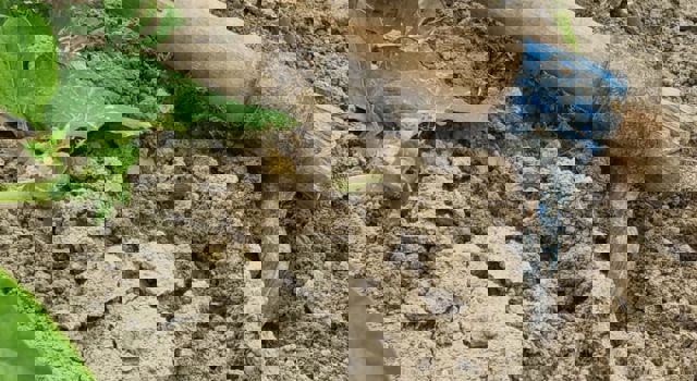 Visite plateforme Desmazières