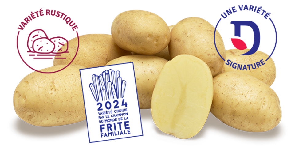 Artemis - une variété signature