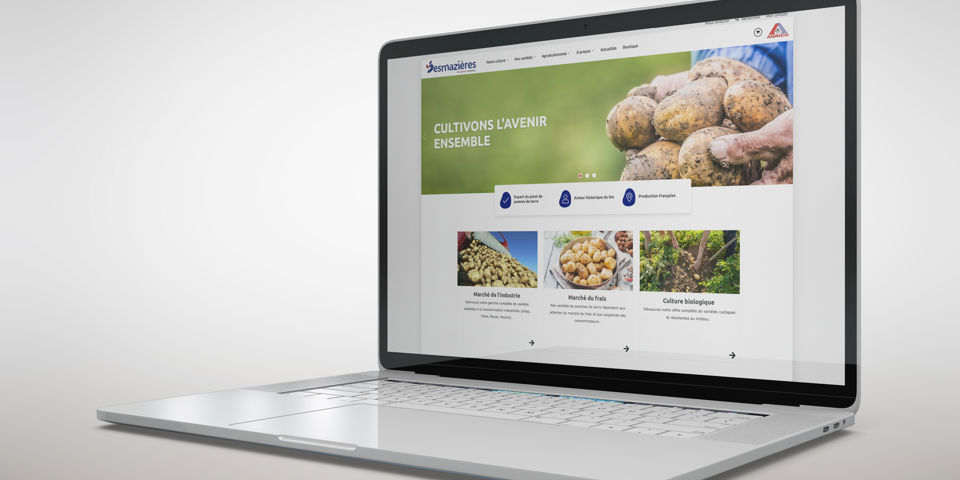 nouveau site web desmazières