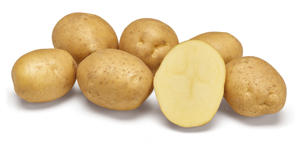 variété napoléon