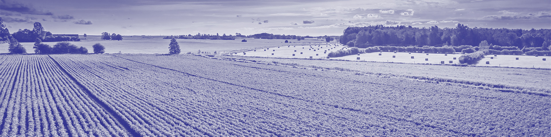 Header Environnement