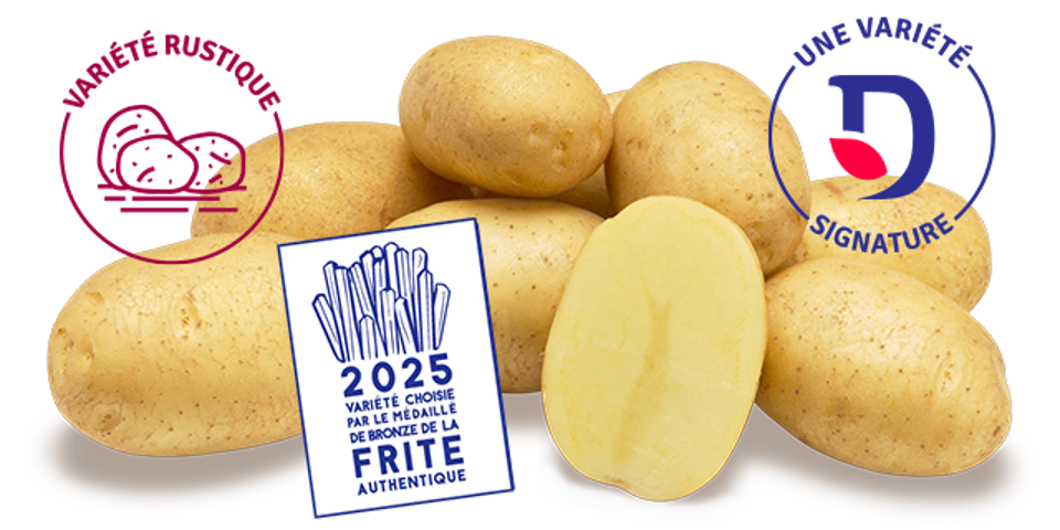 Variété signature - Artemis