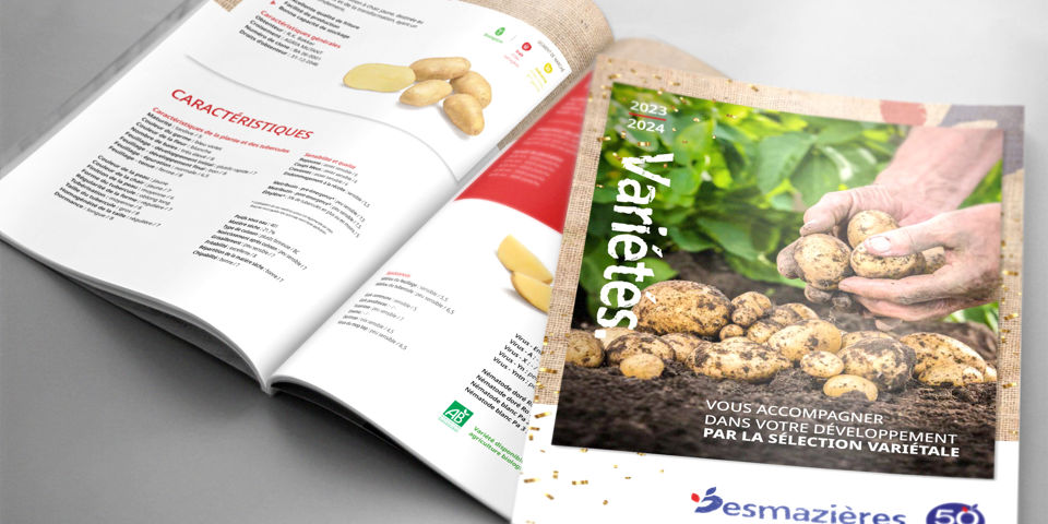 Mockup Catalogue 23 24
