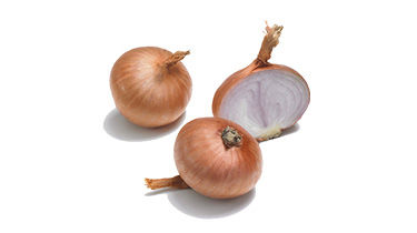 Bulbille Red Sun