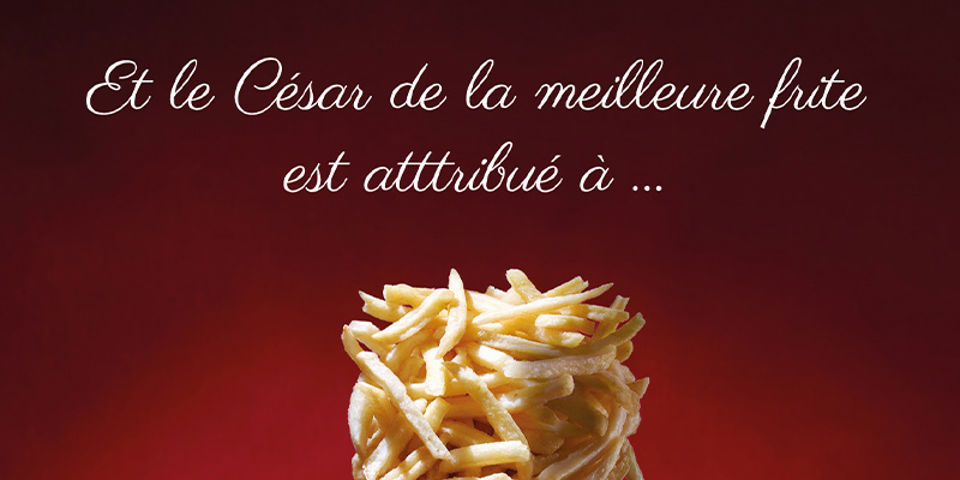 Excellency Carte Postale
