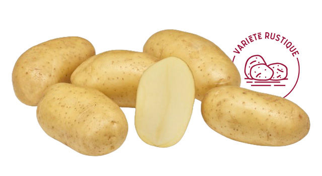 Jolene - Desmazières