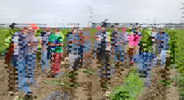 Visite plateforme Desmazières