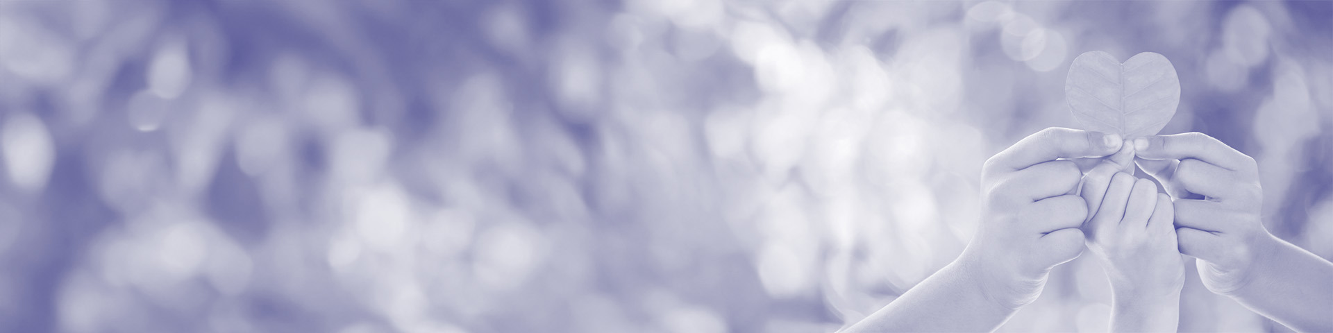 Header Engagement Environnemental (1)