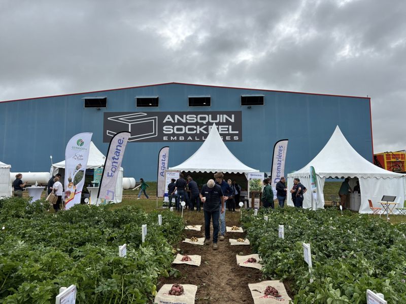 Gagnant du championnat du monde de la frite Aurèle MESTRÉ - Desmazières