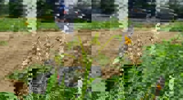 Visite plateforme Desmazières