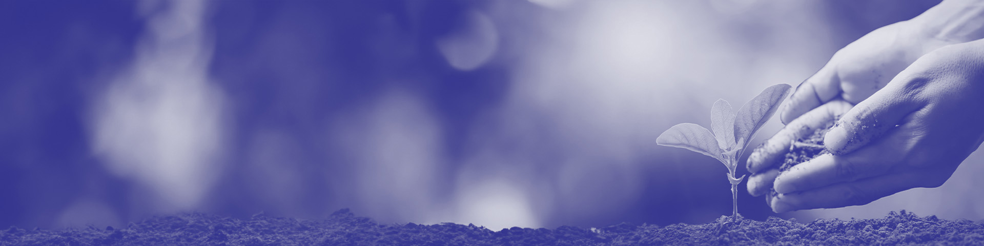 Header Engagement Economique