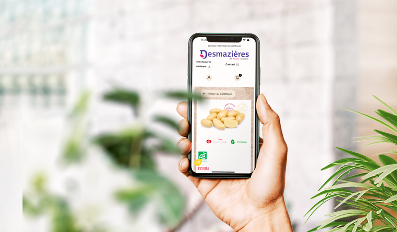 nouvelle boutique Desmazières