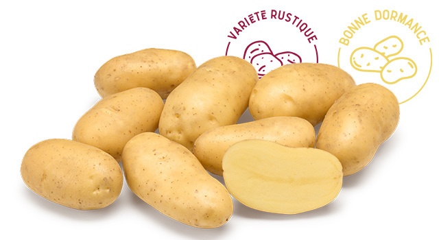 Variete DESMAZIERES Ecrin