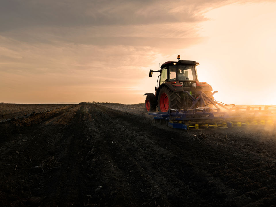 Adobestock 333392980