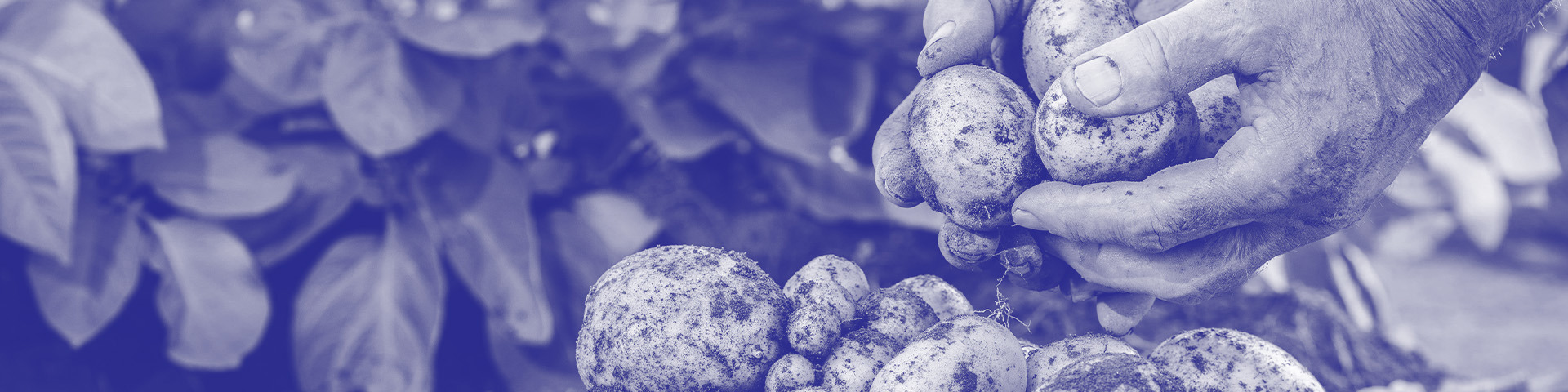 Header Engagements RSE