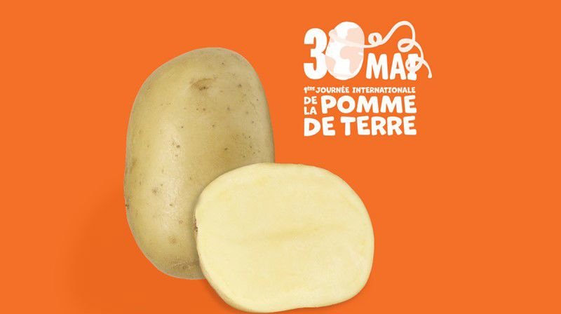 Journée mondiale de la pomme de terre-Desmazières
