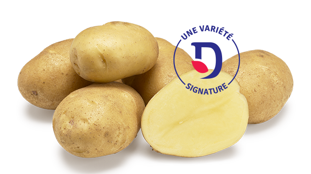 Variété signature - Fontane