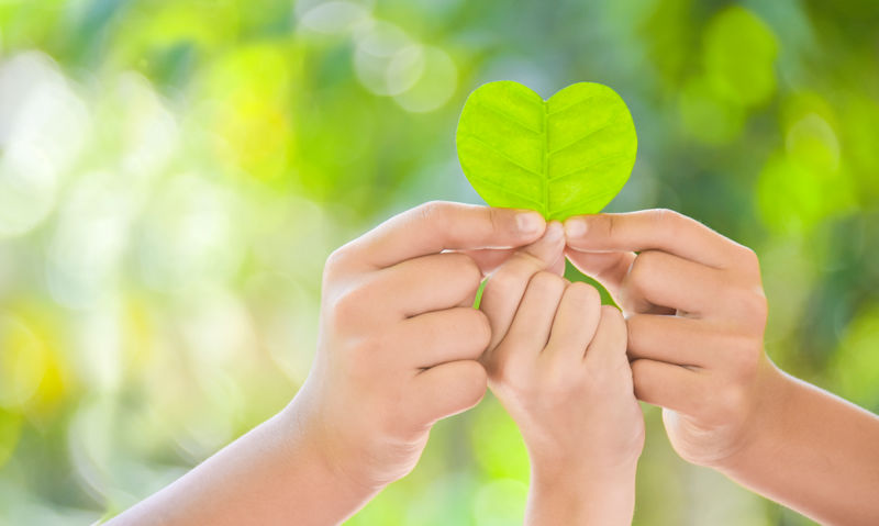 responsabilité environnemental - desmazières