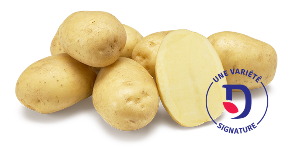 Agata - Une variété signature