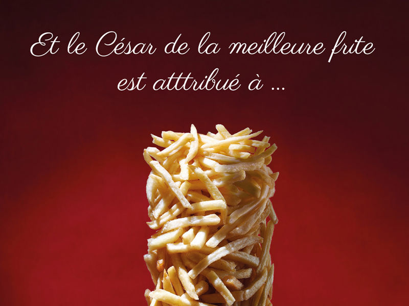 Excellency variété à frites Desmazières