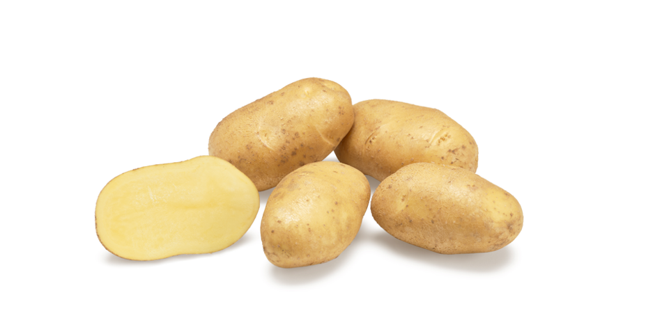 Variété Armedi